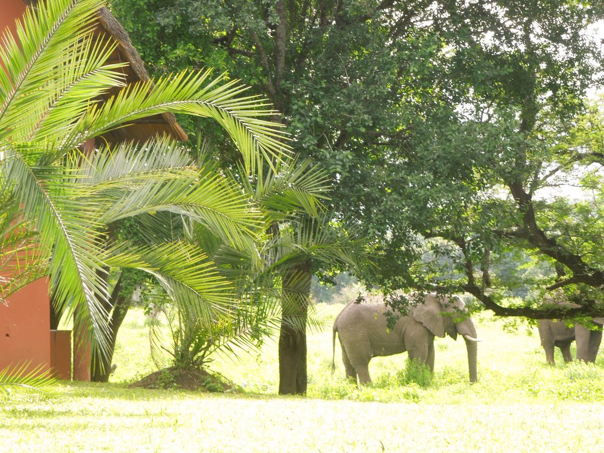 Thula Thula Exclusive Private Game Reserve & Lodge Ntambanana Экстерьер фото