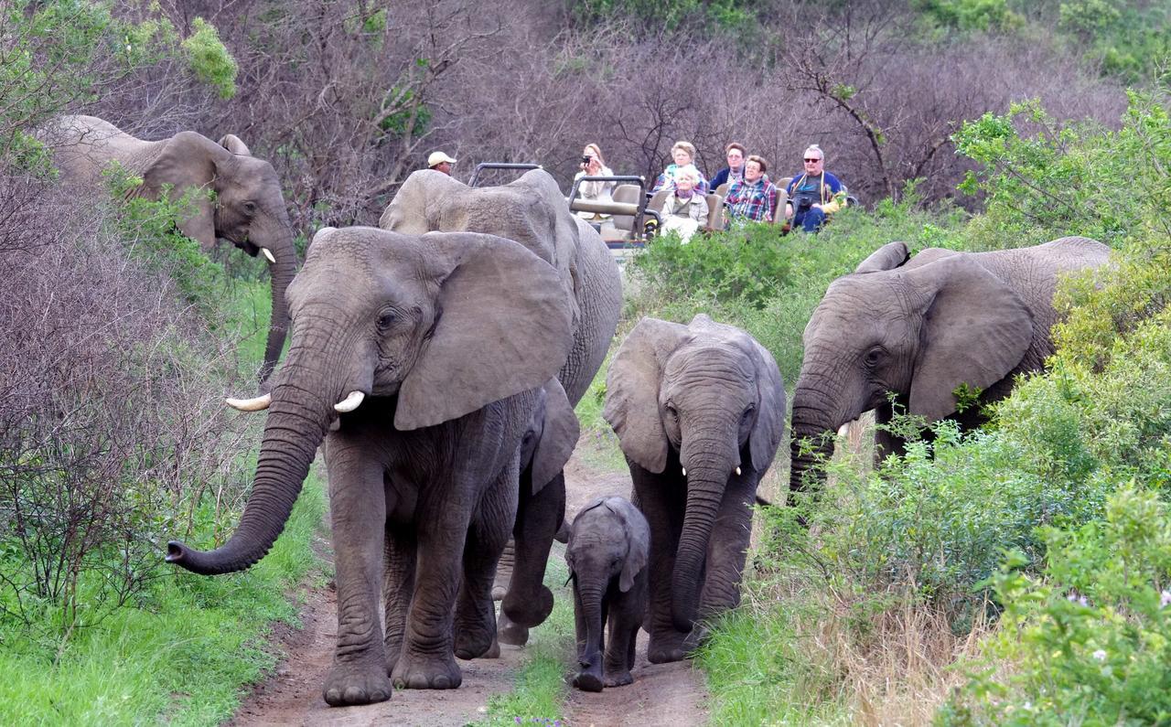 Thula Thula Exclusive Private Game Reserve & Lodge Ntambanana Экстерьер фото