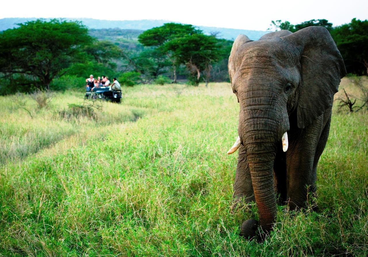 Thula Thula Exclusive Private Game Reserve & Lodge Ntambanana Экстерьер фото