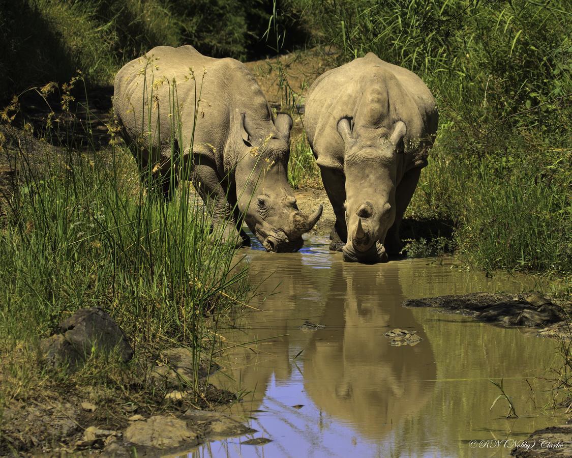 Thula Thula Exclusive Private Game Reserve & Lodge Ntambanana Экстерьер фото