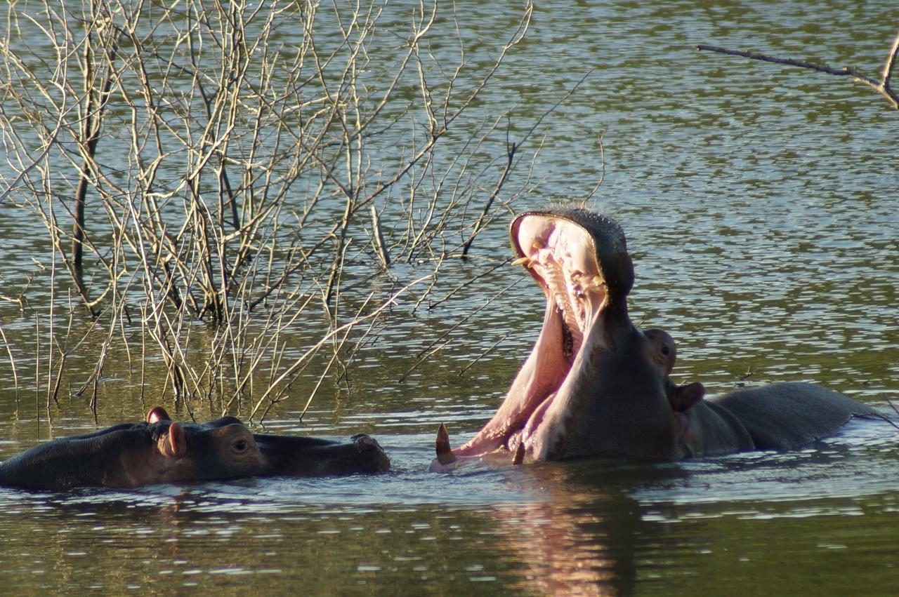 Thula Thula Exclusive Private Game Reserve & Lodge Ntambanana Экстерьер фото