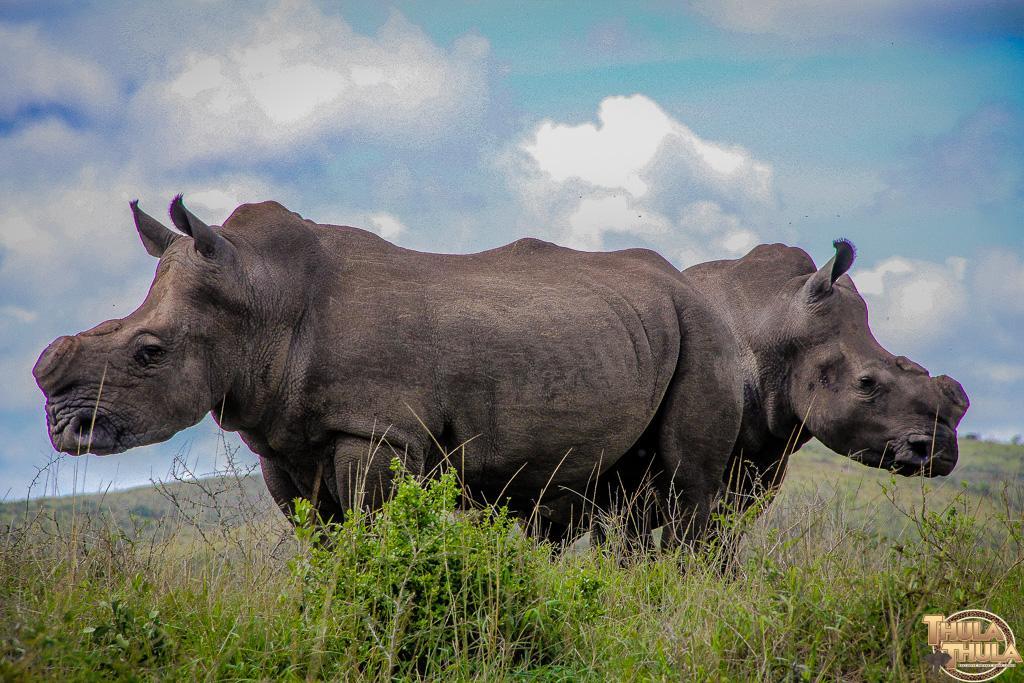 Thula Thula Exclusive Private Game Reserve & Lodge Ntambanana Экстерьер фото