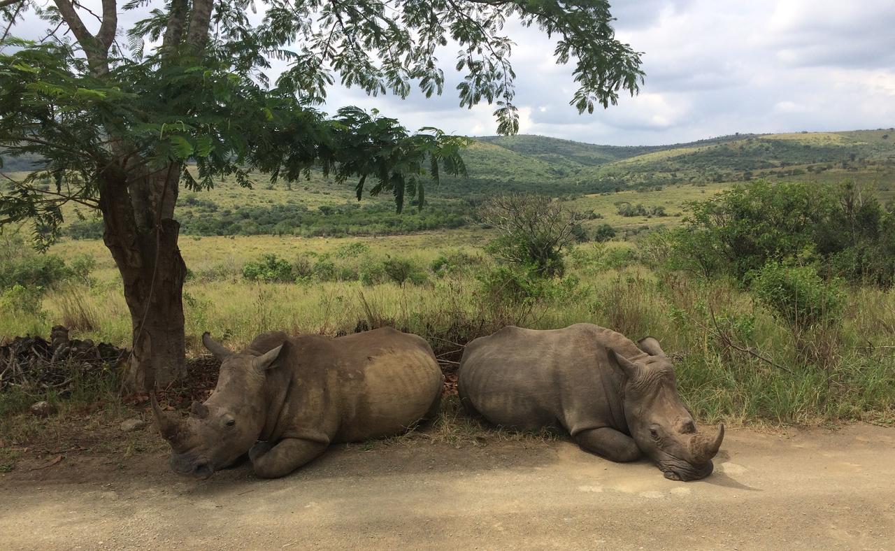 Thula Thula Exclusive Private Game Reserve & Lodge Ntambanana Экстерьер фото