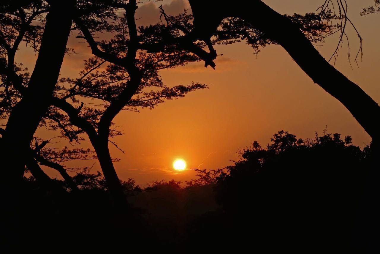 Thula Thula Exclusive Private Game Reserve & Lodge Ntambanana Экстерьер фото